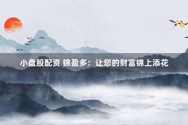 小盘股配资 锦盈多：让您的财富锦上添花