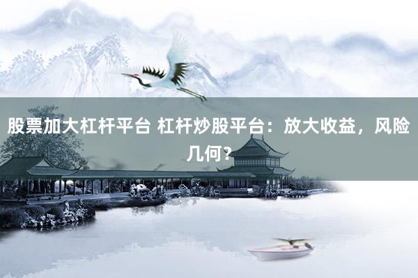 股票加大杠杆平台 杠杆炒股平台：放大收益，风险几何？