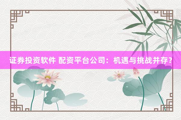 证券投资软件 配资平台公司：机遇与挑战并存？