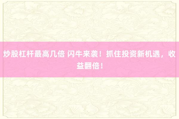 炒股杠杆最高几倍 闪牛来袭！抓住投资新机遇，收益翻倍！