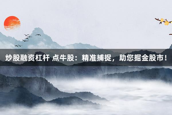 炒股融资杠杆 点牛股：精准捕捉，助您掘金股市！