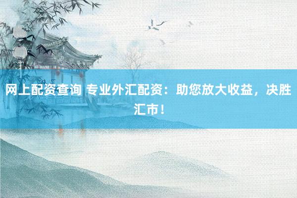 网上配资查询 专业外汇配资：助您放大收益，决胜汇市！