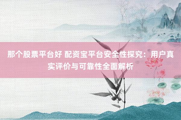 那个股票平台好 配资宝平台安全性探究：用户真实评价与可靠性全面解析