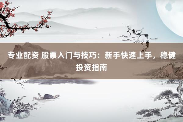 专业配资 股票入门与技巧：新手快速上手，稳健投资指南