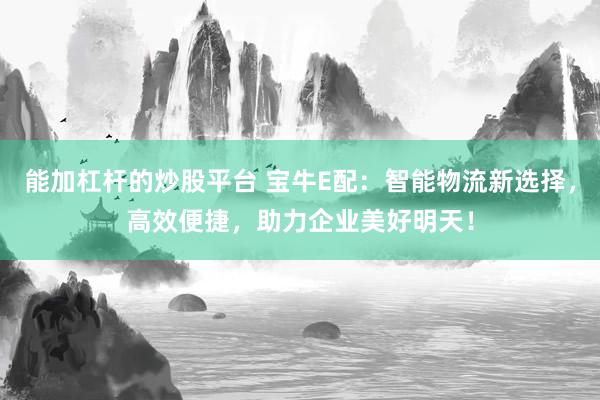 能加杠杆的炒股平台 宝牛E配：智能物流新选择，高效便捷，助力企业美好明天！