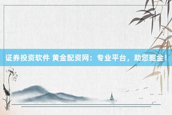 证券投资软件 黄金配资网：专业平台，助您掘金！