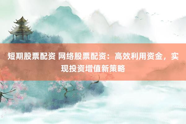 短期股票配资 网络股票配资:高效利用资金,实现投资增值新策略