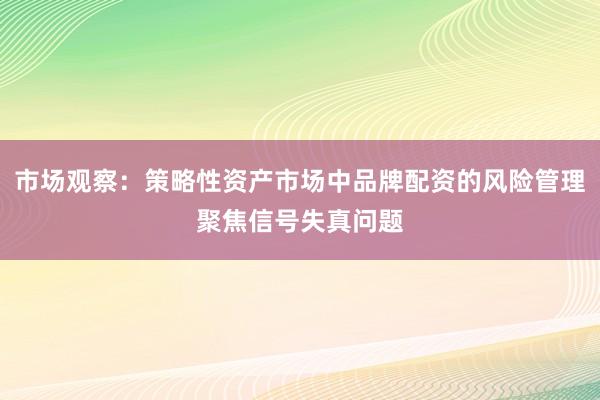 市场观察：策略性资产市场中品牌配资的风险管理聚焦信号失真问题