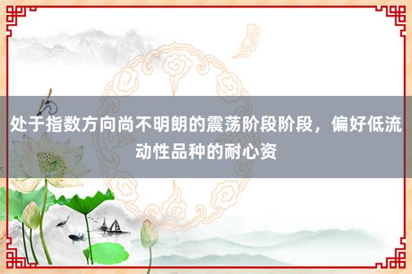 处于指数方向尚不明朗的震荡阶段阶段,偏好低流动性品种的耐心资