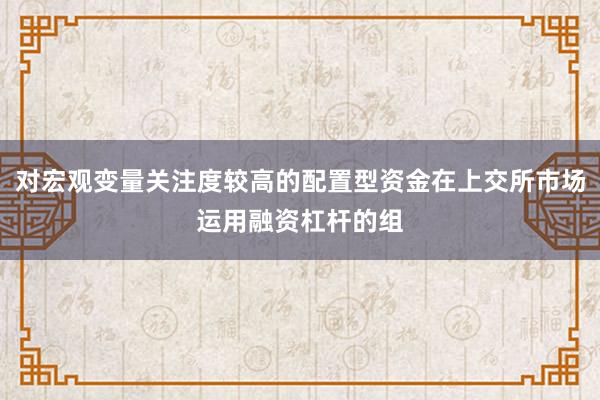 对宏观变量关注度较高的配置型资金在上交所市场运用融资杠杆的组
