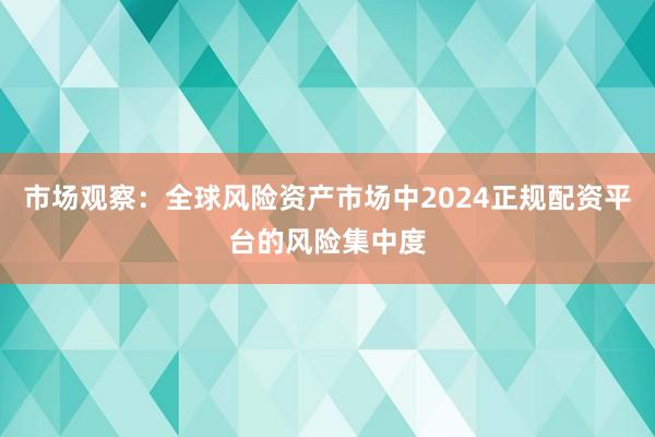 市场观察：全球风险资产市场中2024正规配资平台的风险集中度