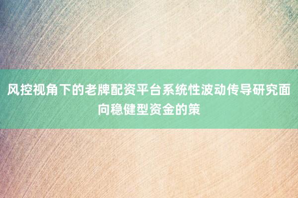风控视角下的老牌配资平台系统性波动传导研究面向稳健型资金的策