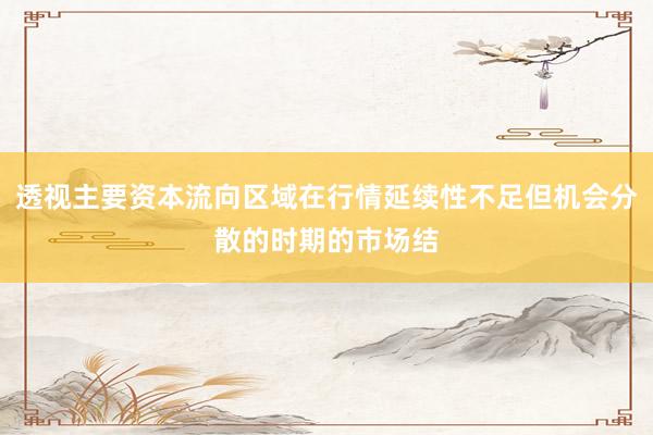 透视主要资本流向区域在行情延续性不足但机会分散的时期的市场结