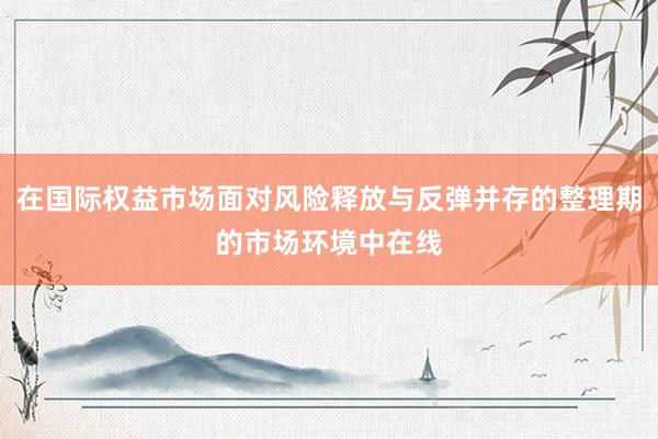 在国际权益市场面对风险释放与反弹并存的整理期的市场环境中在线