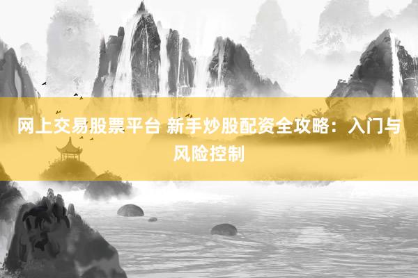 网上交易股票平台 新手炒股配资全攻略：入门与风险控制