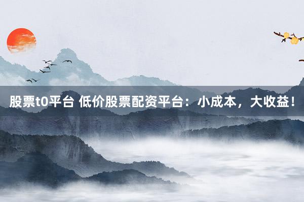 股票t0平台 低价股票配资平台:小成本,大收益!