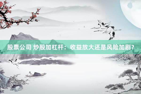 股票公司 炒股加杠杆：收益放大还是风险加剧？